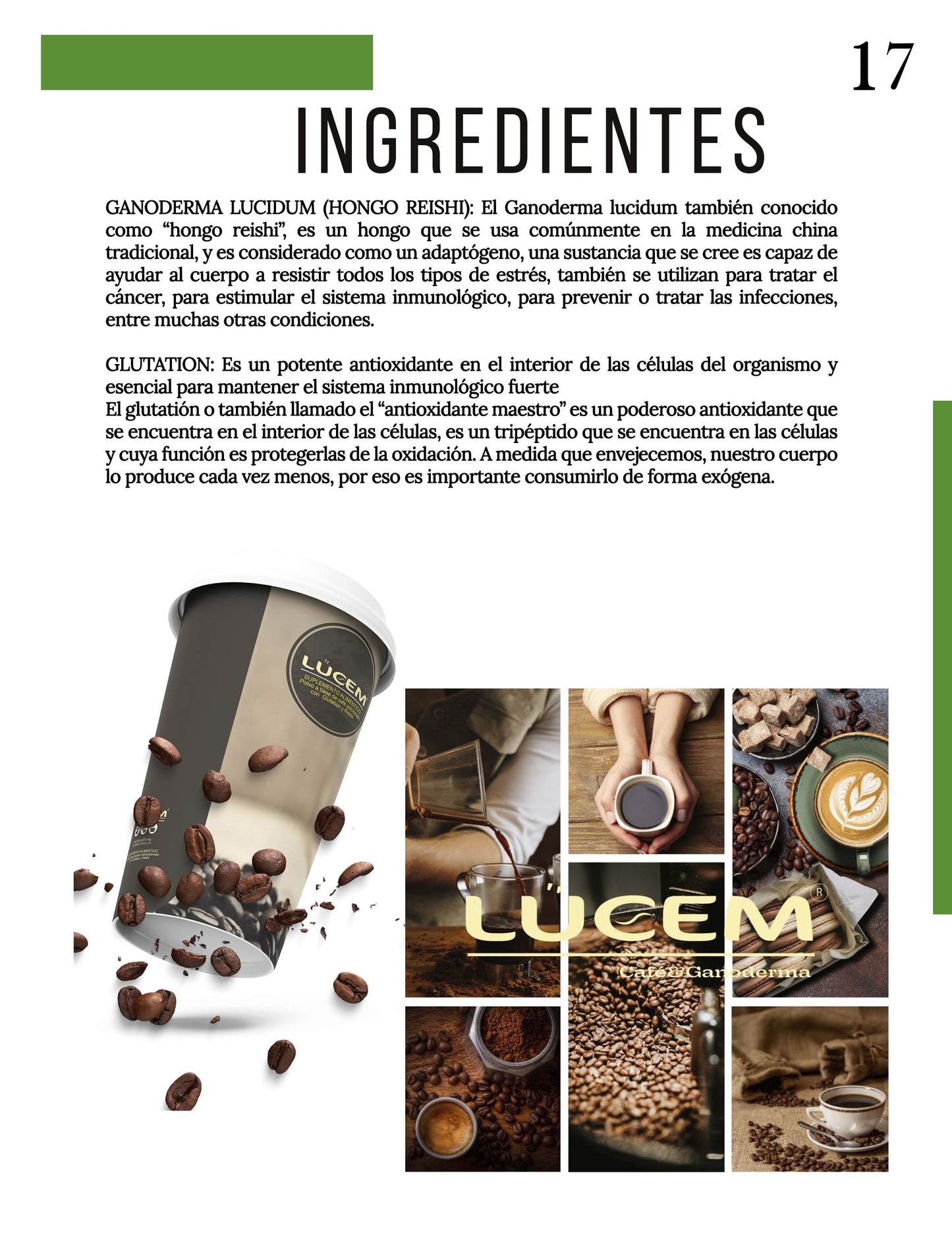 Café con Ganoderma y Glutatión