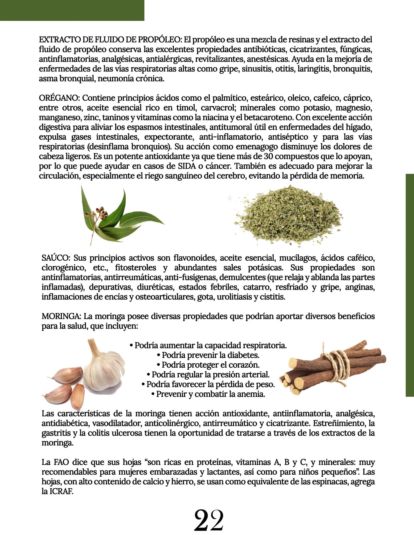 GOU-LONG. Extracto fluido bucofaríngeo