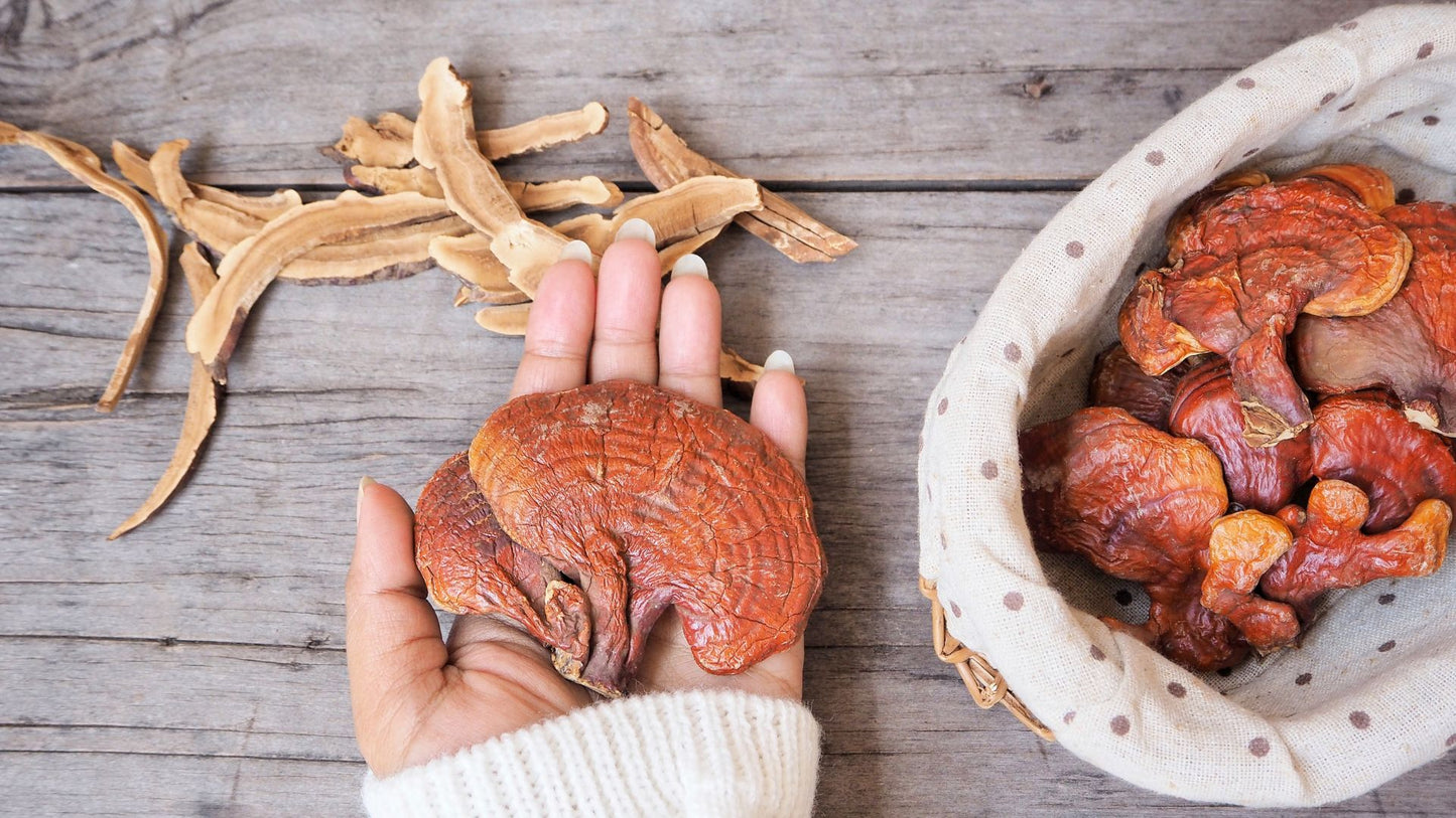 Café con Ganoderma y Glutatión